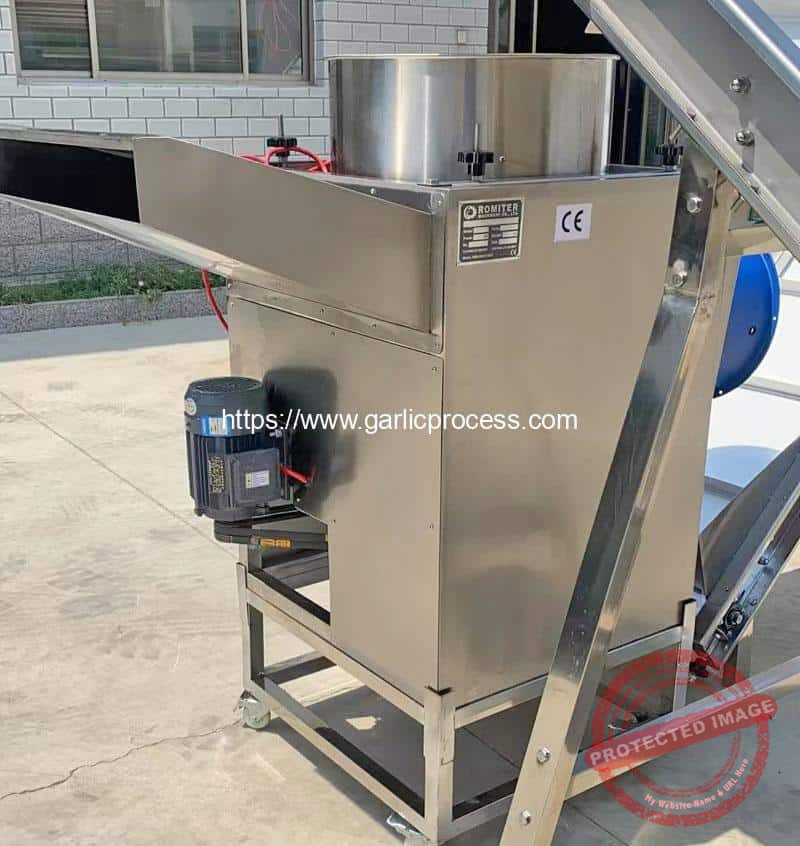 Garlic-Breaking-Machine-with-Elevator
